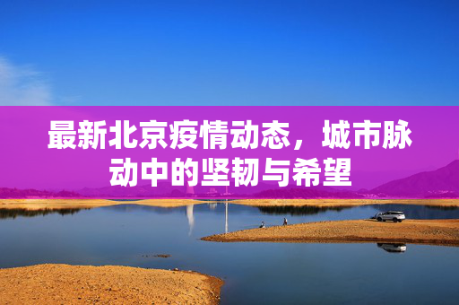 最新北京疫情动态，城市脉动中的坚韧与希望