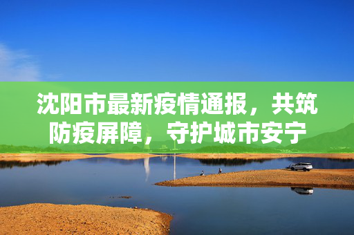 沈阳市最新疫情通报，共筑防疫屏障，守护城市安宁