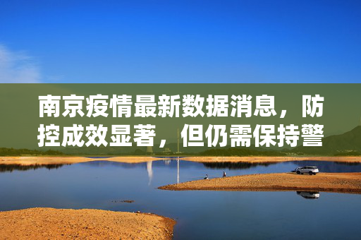 南京疫情最新数据消息，防控成效显著，但仍需保持警惕