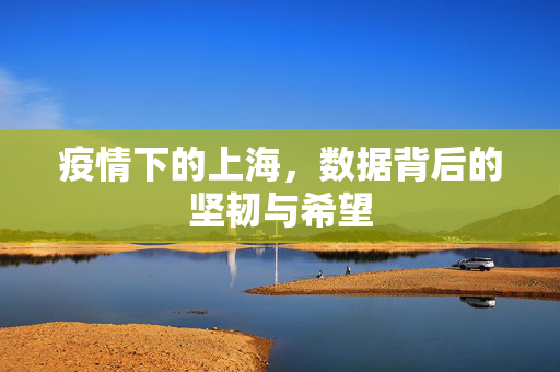 疫情下的上海，数据背后的坚韧与希望