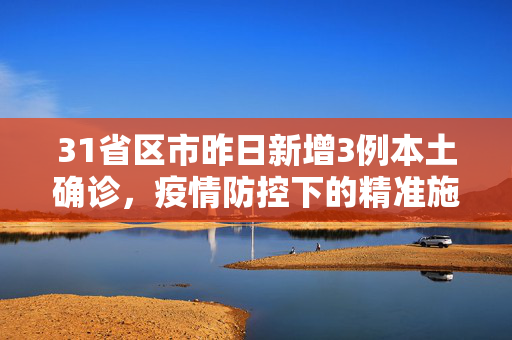 31省区市昨日新增3例本土确诊，疫情防控下的精准施策与公众响应