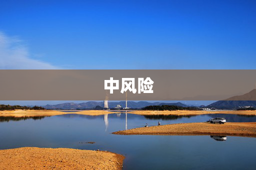 中风险