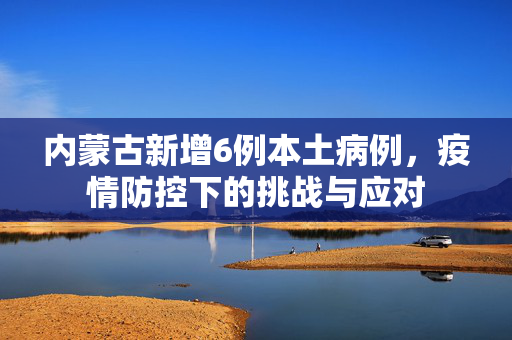 内蒙古新增6例本土病例，疫情防控下的挑战与应对