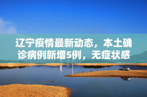 辽宁疫情最新动态，本土确诊病例新增5例，无症状感染者新增52例——疫情防控下的温暖与坚守