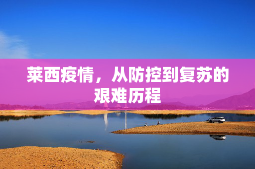 莱西疫情，从防控到复苏的艰难历程