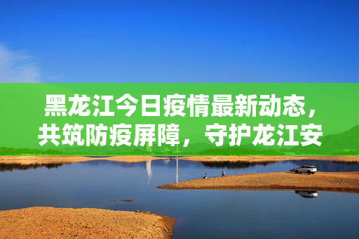 黑龙江今日疫情最新动态，共筑防疫屏障，守护龙江安宁