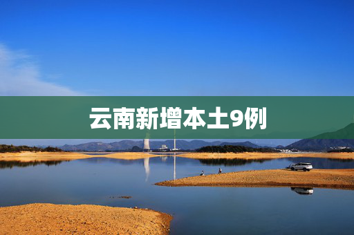 云南新增本土9例
