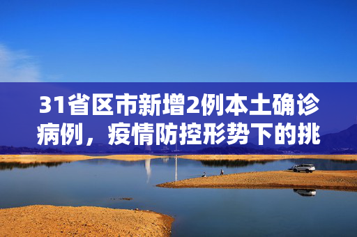 31省区市新增2例本土确诊病例，疫情防控形势下的挑战与应对