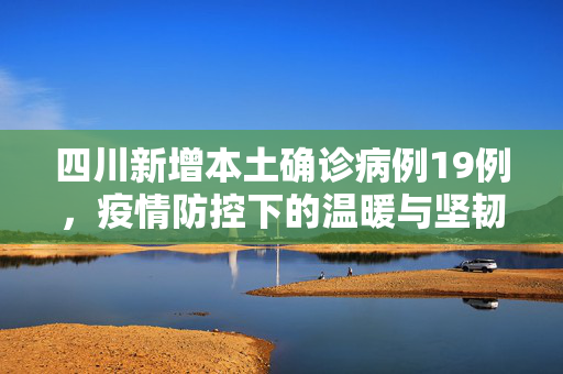 四川新增本土确诊病例19例，疫情防控下的温暖与坚韧