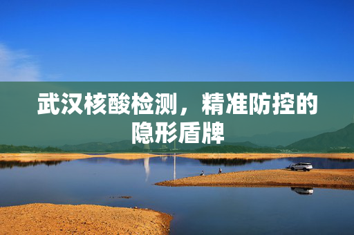 武汉核酸检测，精准防控的隐形盾牌