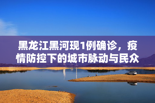 黑龙江黑河现1例确诊，疫情防控下的城市脉动与民众响应