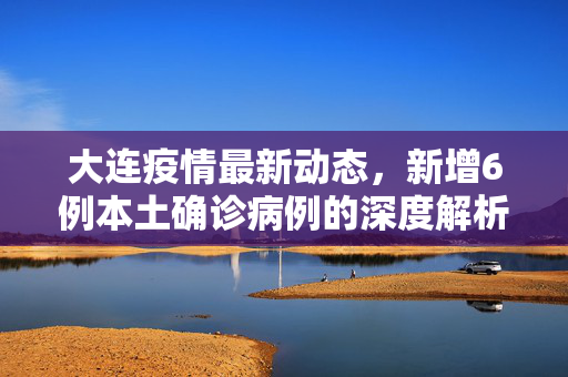 大连疫情最新动态，新增6例本土确诊病例的深度解析与应对策略