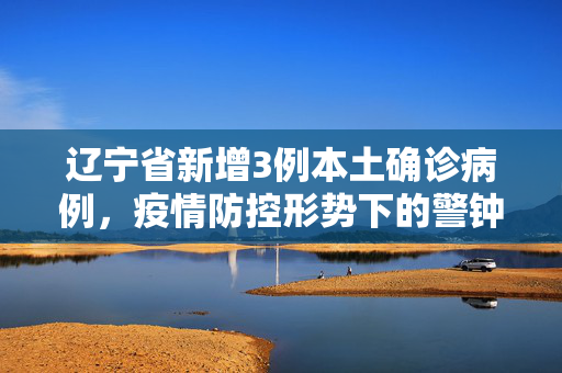 辽宁省新增3例本土确诊病例，疫情防控形势下的警钟与应对策略