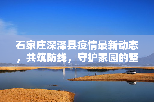 石家庄深泽县疫情最新动态，共筑防线，守护家园的坚实步伐