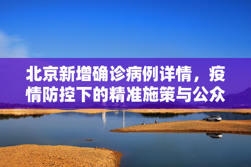 北京新增确诊病例详情，疫情防控下的精准施策与公众应对策略