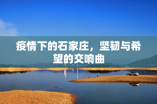 疫情下的石家庄，坚韧与希望的交响曲
