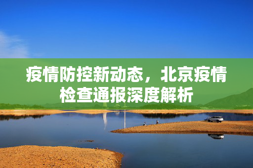 疫情防控新动态，北京疫情检查通报深度解析