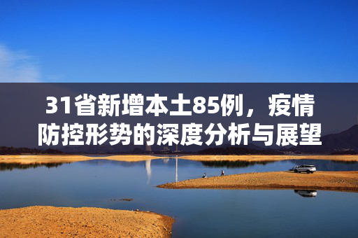 31省新增本土85例，疫情防控形势的深度分析与展望