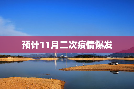 预计11月二次疫情爆发