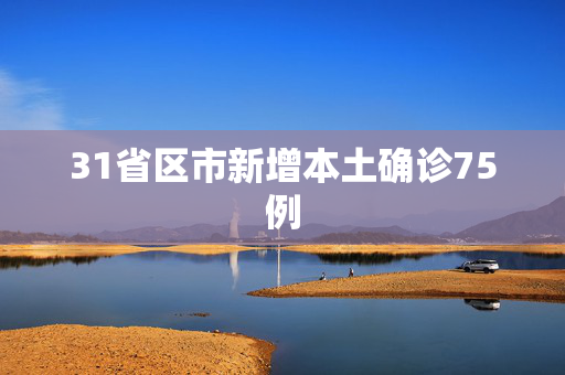 31省区市新增本土确诊75例