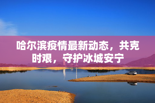 哈尔滨疫情最新动态，共克时艰，守护冰城安宁