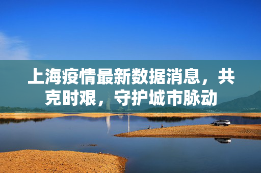 上海疫情最新数据消息，共克时艰，守护城市脉动