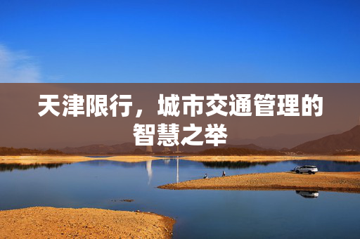天津限行，城市交通管理的智慧之举