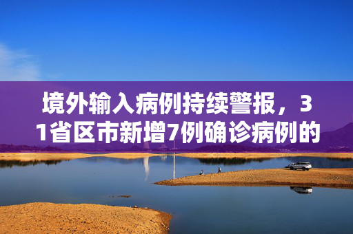境外输入病例持续警报，31省区市新增7例确诊病例的深度解析与防控策略