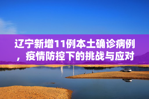 辽宁新增11例本土确诊病例，疫情防控下的挑战与应对策略