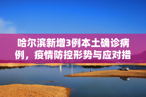 哈尔滨新增3例本土确诊病例，疫情防控形势与应对措施