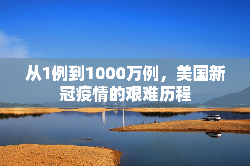 从1例到1000万例，美国新冠疫情的艰难历程