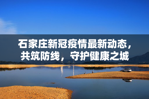 石家庄新冠疫情最新动态，共筑防线，守护健康之城