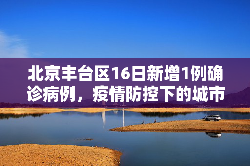 北京丰台区16日新增1例确诊病例，疫情防控下的城市脉动与全民行动