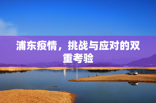 浦东疫情，挑战与应对的双重考验