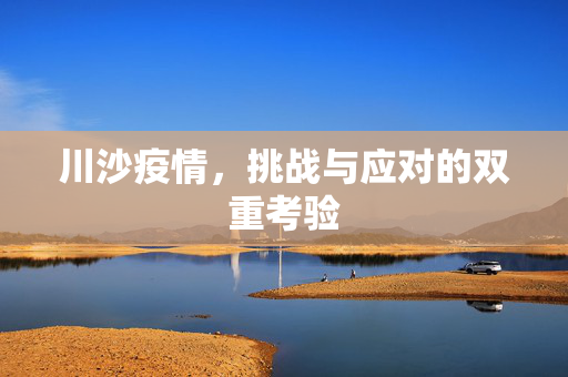 川沙疫情，挑战与应对的双重考验