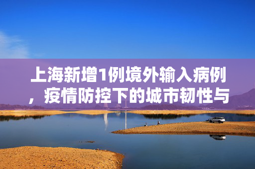上海新增1例境外输入病例，疫情防控下的城市韧性与国际合作