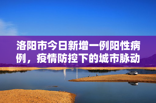 洛阳市今日新增一例阳性病例，疫情防控下的城市脉动与民众响应