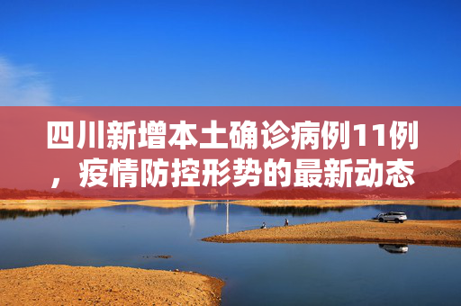 四川新增本土确诊病例11例，疫情防控形势的最新动态与应对策略