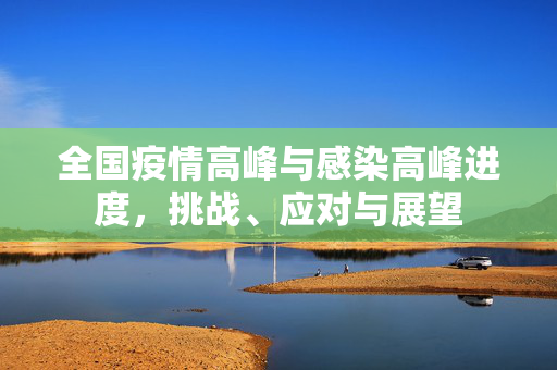 全国疫情高峰与感染高峰进度，挑战、应对与展望