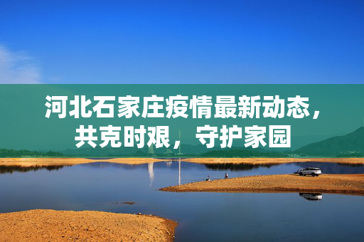 河北石家庄疫情最新动态，共克时艰，守护家园