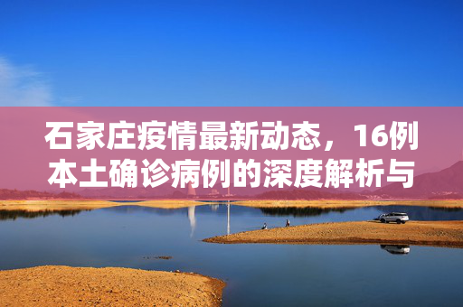 石家庄疫情最新动态，16例本土确诊病例的深度解析与应对策略