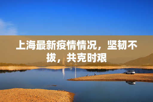 上海最新疫情情况，坚韧不拔，共克时艰