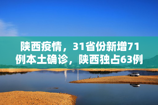 陕西疫情，31省份新增71例本土确诊，陕西独占63例——疫情防控的严峻挑战与全民行动