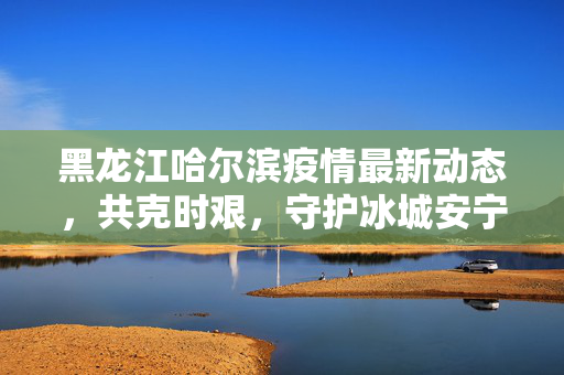 黑龙江哈尔滨疫情最新动态，共克时艰，守护冰城安宁