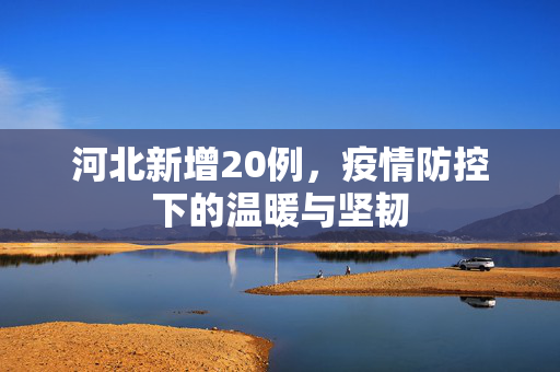 河北新增20例，疫情防控下的温暖与坚韧