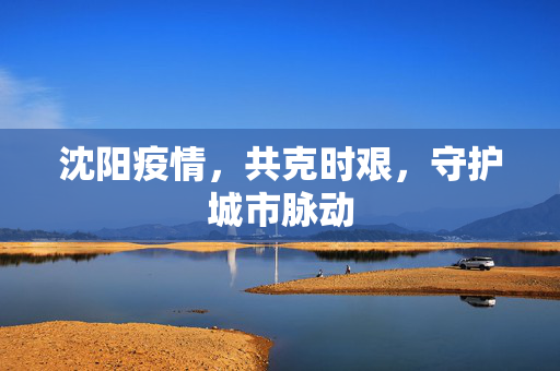 沈阳疫情，共克时艰，守护城市脉动