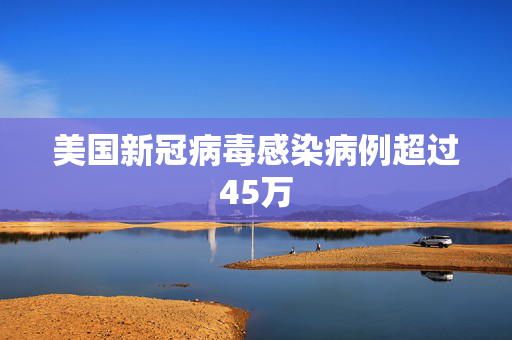 美国新冠病毒感染病例超过45万