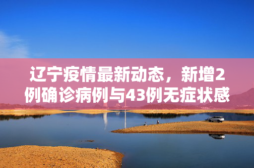 辽宁疫情最新动态，新增2例确诊病例与43例无症状感染者的防控挑战与应对策略