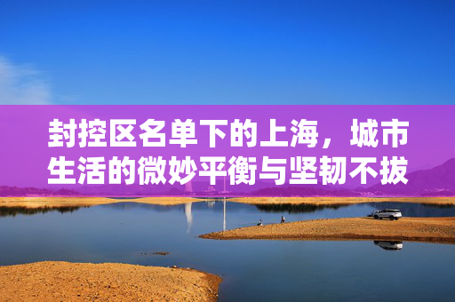 封控区名单下的上海，城市生活的微妙平衡与坚韧不拔